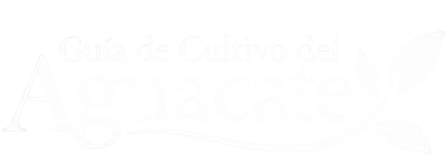 Guia de Cultivo del Aguacate